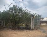 Bán nhà vườn cây ăn trái có trại chăn nuôi tại Thống Nhất Đồng Nai