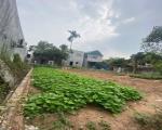 80M ĐẤT HIỀN NINH, SÓC SƠN. FULL THỔ CƯ. ĐƯỜNG THÔNG RỘNG 4M. NGAY SÁT ĐƯỜNG BỜ KÊNH ĐI