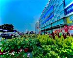 Ở ngay, Nhà cấp 4,Diện tích khủng 102m, ô tô vào nhà, Tăng Nhơn Phú A, Quận 9, TP Thủ Đức