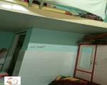 Bán nhà sổ hồng riêg chưa đến 58 tr/m2_ Ngay Chợ Hoa Cau, đường Trần Thị Điệu, Quận 9_ 84