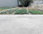 Bán đất Yên Tàng, Bắc Phú, Sóc Sơn, HN.  Dt 120m2, Mt 5m, giá chỉ hơn 13 triệu
