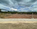 BÁN ĐẤT 134.8 m² có 98m² thổ cư, SHR tại phường Dầu Giây (Hưng Lộc cũ)