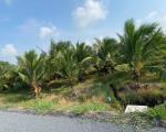 ĐẦU TƯ SINH LỜI -Chính CHủ BÁN 7.000M² Đất Trồng Dừa MẶT TIỀN TỈNH LỘ 871 –TIỀM NĂNG KHAI