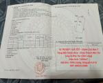 VỊ TRÍ ĐẸP - GIÁ TỐT - Chính Chủ Bán 7 Công Đất Vườn Dừa - Châu Thành Bến Tre