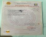 SIÊU PHẨM ĐẤT MẶT TIỀN QUỐC LỘ 18 – QUANG HANH, QUẢNG NINH!