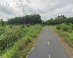 Bán đất tại đường Lò Rèn, Long Hòa, 4,5tr/m2, 3500m2, view đẹp, nhiều tiện ích