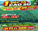 ĐẤT ĐẸP – GIÁ TỐT - CẦN BÁN GẤP CẶP ĐẤT SÀO LIỀN KỀ CẠNH KCN BÀU BÀNG MỞ RỘNG Bàu Bàng,