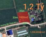 Bán lô đất lúa chuyển thổ đường bê tông 6m giá 1,2tỷ