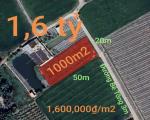 Bán đất lúa chuyển thổ xã Vàm Cỏ gần Quốc Lộ 50B giá 1,6 tỷ