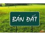 CHÍNH CHỦ CẦN BÁN ĐẤT THỔ CƯ 464M² – ĐƯỜNG Ô TÔ 7 CHỖ VÀO TẬN NƠI – GIÁ 4 TỶ CÓ THƯƠNG