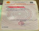 ĐẤT ĐẸP – GIÁ TỐT - CẦN BÁN NHANH LÔ ĐẤT TẠI Khối Nam Liên, Phường Vinh Hưng, TP. Vinh,