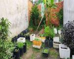 Bán nhà cấp 4 hướng Đông Nam tại Phường Linh Xuân, diện tích 59 m2