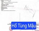 Bán đất trục đường kinh doanh đường 10,5m Hồ Tùng Mậu