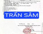 Bán đất đường 7,5m Trần Sâm - View núi Sơn Trà