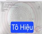 💥BÁN ĐẤT KIỆT TÔ HIỆU - DT 108,8M2 - KIỆT THÔNG