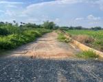 HÀNG HIẾM SIÊU KHỦNG ĐÔNG THẠNH, HÓC MÔN – ĐẤT 2 MẶT TIỀN 9.960M²