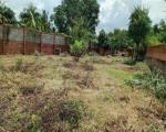 ĐẦU TƯ SINH LỜI – CẦN BÁN GẦN 1.000M² LÔ ĐẤT VƯỜN, Đ. Tam Đa, P. Long Phước, Q.9, TP.HCM