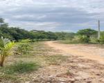 BÁN 5.000M² ĐẤT LONG NGUYÊN – BÀU BÀNG  GIÁ CHỈ 3 TRIỆU/M²