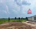 D332 chuyển nhượng đất chủ trương phân bón hữu cơ, sẵn đất bàn giao liền.