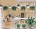 Đẹp nhất Võ Thị Sáu view Hồ Thanh Nhàn, kinh doanh, ở đẳng cấp 20 tỷ