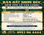 BÁN ĐẤT TÂN ĐỊNH & NHƠN ĐỨC – NHIỀU LỰA CHỌN DIỆN TÍCH - Vị Trí Đẹp