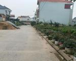 Chủ nhà thừa nơi ở cần bán bớt để dễ quản lý