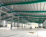 CHO THUÊ NHÀ XƯỞNG 1.500M² MỚI XÂY LẠI TẠI QUẢNG NAM – GIÁ CHỈ 50K/M²