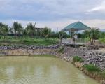 Bán farm Diên Thọ - Khánh Hoà 1.7ha giá 480k/m2. Cây ăn trái đang khai thác