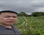 Nhỉnh 2,xx tỷ 75m2  Đất phân lô tại Thôn Vĩnh Phú - Tiên Du - Bắc Ninh