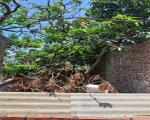 Bán đất Đại Áng 30m², ô tô vào đất, giá 3,5 tỷ