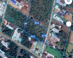 BÁN ĐẤT ĐẸP XUÂN ĐÔNG – CẨM MỸ, ĐỒNG NAI diện tích 1575m² chỉ 3 tỷ