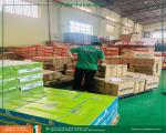 CHO THUÊ KHO CHỨA HÀNG HÓA TẠI BÌNH DƯƠNG – DIỆN TÍCH LINH HOẠT, ĐẦY ĐỦ PHÁP LÝ