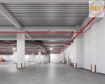 CHO THUÊ NHÀ XƯỞNG NHIỀU TẦNG – KCN LONG HẬU, LONG AN – 7.000m²