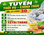 KINH ĐÔ – TUYỂN DỤNG CHÍNH THỨC và THỜI VỤ - Bần Yên Nhân, Mỹ Hào, Hưng Yên