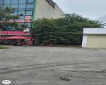 Bán khu đô thị  Nguyên Khê, xã Phúc Thịnh, Đông Anh cũ