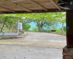 CHÍNH CHỦ BÁN GẤP TRANG TRẠI 12.415,7m² TẠI PHƯỜNG THỐNG NHẤT, TỈNH PHÚ THỌ – CHỈ CÁCH HÀ