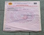 CHÍNH CHỦ Bán Đất Nền Dự Án Khu Dân Cư Đức Phát 3 Quốc Lộ 13, TT Lai Uyên, Bàu Bàng, Bình