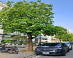 BÁN SHOPHOUSE PHỐ BIỂN 88M2- 4 TẦNG CẠNH GA METRO- 11 TỶ