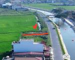 CHÍNH CHỦ CẦN BÁN LÔ ĐẤT ĐẸP – GIAO THỦY, NAM ĐỊNH