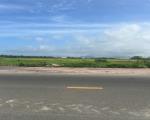 Bán gấp 44m đất thổ cư mặt tiền Đinh Bộ Lĩnh - LaGi giá ngộp 295 triệu/m ngang