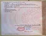ĐẤT ĐẸP – CHÍNH CHỦ cần bán Đất 2 mặt tiền QL1A, Thị Trấn Hoàn Lão, Huyện Bố Trạch, Tỉnh
