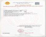 BÁN ĐẤT XÃ NGHĨA THÀNH, TP.HCM