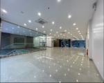 Tôi cho thuê nhà, Đội Cấn, Giang Văn Minh, Đốc Ngữ; 207m2* 1T -42 tr